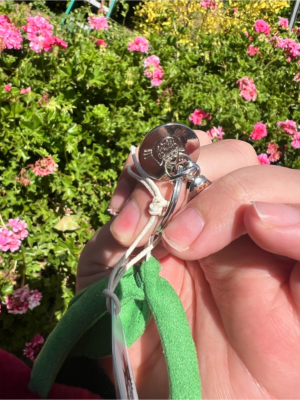 CHERRIES PLUSH KEYCHAIN - Picture 5 of 7